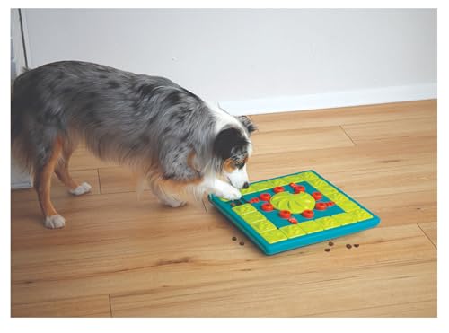 Interactive Dog and Cat Games Treat Hiding Challenge Mental Stimulation with Rewards (15 Inch Multi Puzzle Game) - size: 15 Inch Multi Puzzle Game