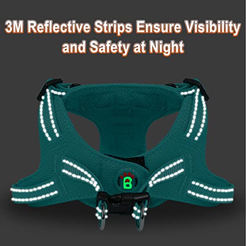 Dog Harness Step in Dog Vest Harness, Reflective Adjustable Puppy No Pull Harness Breathable Soft for Small and Medium Dogs Cats, Ocean Blue, XXS - color: Ocean Blue, size: XX-Small