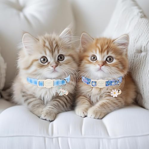 2 Pack Cute Cat Collars - Blue Plaid & Floral Breakaway Cat Collars, Adjustable Boy Girl Kitten Safety Collar for Small Dogs Puppy, Everyday Pet Collar with Bell & Pendant - color: Blue Plaid&Floral