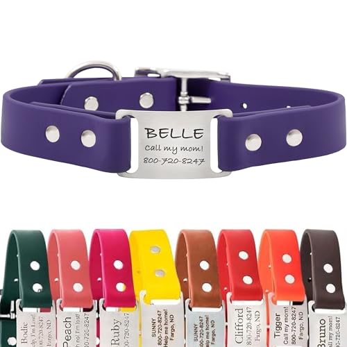 dogIDs Personalized Dog Collar – ScruffTag Custom Waterproof Biothane Dog Collar with Laser-Engraved Name, Durable & Odor-Resistant – USA Made | Purple, 1 in x 16 in (Fits Neck Sizes 14-18 in) - color: Purple, size: 1 in x 16 in (Fits Neck Sizes 14-18 in)