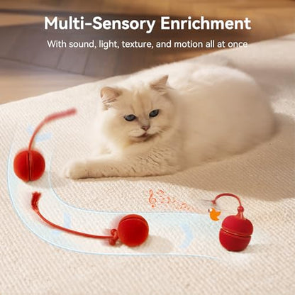 Cheerble 2 in 1 Interactive Cat Toys for Indoor Cats - Wicked Ball Duo2 Automatic Cat Toy, Dual Interchangeable Shells, Electric Cat Toy Ball with Chirping Sounds, Rechargeable Moving Kitten Toys, Red - color: Red