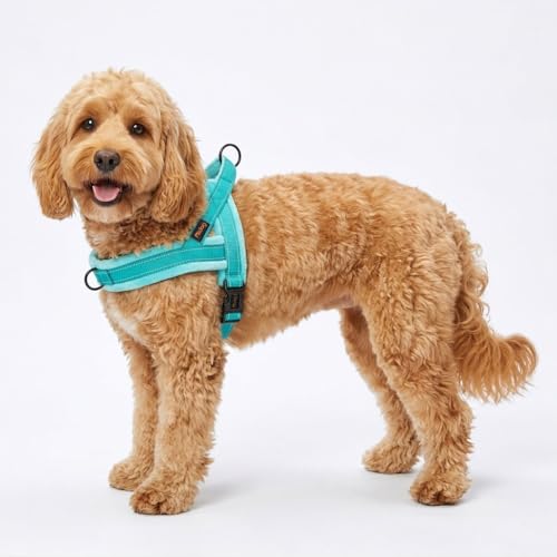 Didog Soft Flannel Padded Dog Vest Harness, No Pull/Quick Fit Reflective Dog Strap Harness, Easy for Training Walking (S:Chest 18-22", Green) - color: Teal, size: S:chest 18-22"
