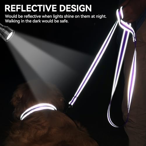 Joytale Dog Leash, 4 FT Double-Sided Reflective, Padded Handle Nylon Heavy Duty Leashes for Small Dogs Walking, Purple - color: Purple, size: 4 ft Narrow