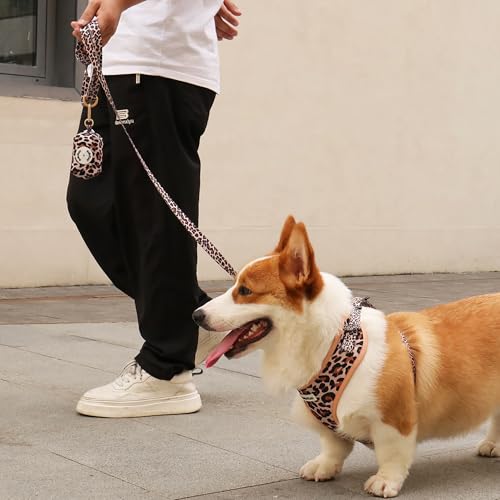 5 FT Stylish Dog Leash, Soft Dog Leashes with Comfortable Padded Handle, Metal Carabiner Clip, Strong No Pull Pet Leash for Small Medium Dogs for Walking, Shopping and Running