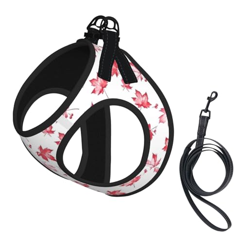 Maple Leaf Pet Harness Escape Proof Dog Harness Adjustable Mesh Padded Reflective Dog Vest Harness and Leash Set Large - color: Style 5, size: Large