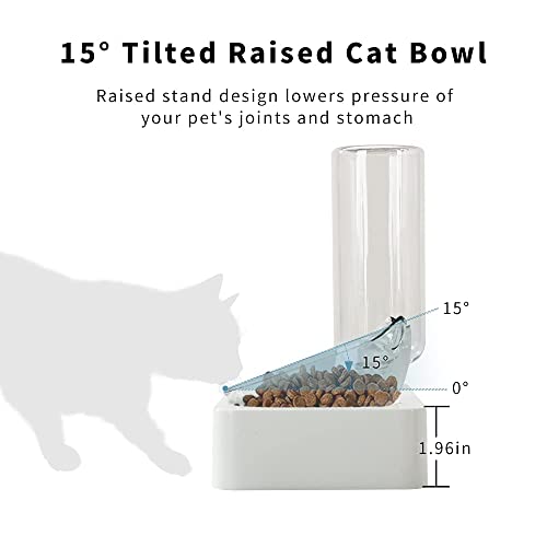 Double Elevated Dog Cat Bowl, Pets Water and Food Bowl Set, 15° Raised Tilted Dishes Indoor for Kitten, Puppies, Small or Medium Size Dogs Cats