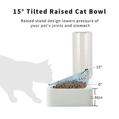 Double Elevated Dog Cat Bowl, Pets Water and Food Bowl Set, 15° Raised Tilted Dishes Indoor for Kitten, Puppies, Small or Medium Size Dogs Cats