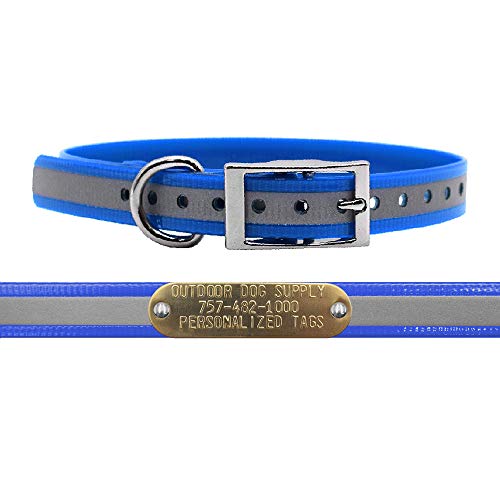 Outdoor Dog Supply Personalized 3/4” Reflective Light Blue Waterproof D-Ring Dog Collar for Small & Medium Dogs | 3/4" Custom Brass Nameplate (15") - color: Reflective Light Blue, size: 15" Long