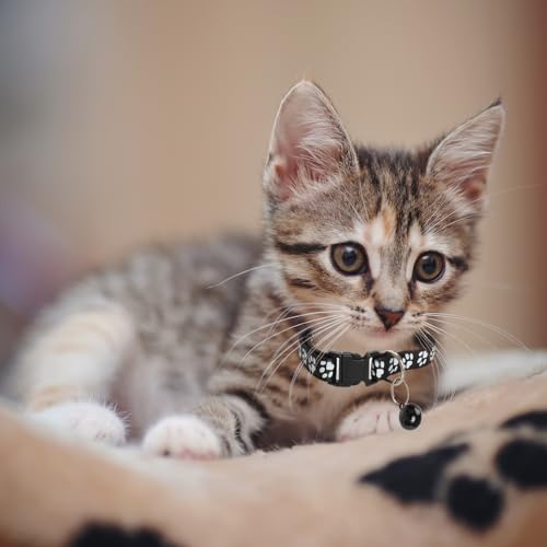 MJIYA Cat Collar with Bell, Breakaway Grid Collar with Plastic Buckle, Light Adjustable, Nylon, Kitty Collars (Black) - color: Black