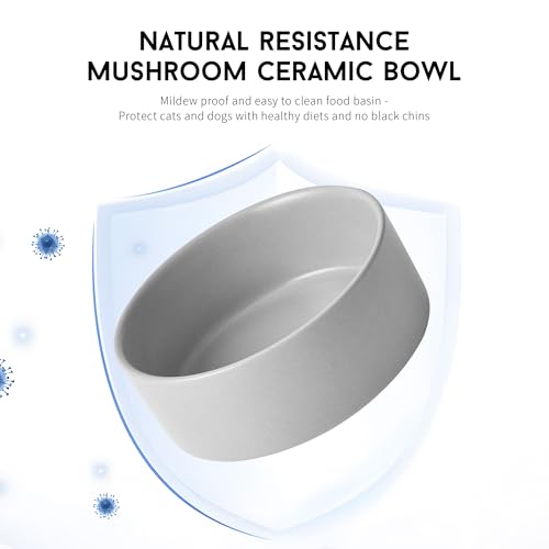Mowtanco Grey Ceramic Dog & Cat Bowl Set – 13.5 OZ with Wooden Stand, Non-Slip, Elevated Design for Small Dogs & Cats – 2 Bowls (Food & Water, Ceramic Pet Bowls, Modern Dog Bowls) - color: Gray × 2