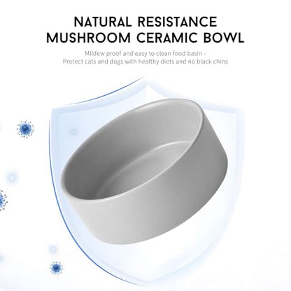 Mowtanco Grey Ceramic Dog & Cat Bowl Set – 13.5 OZ with Wooden Stand, Non-Slip, Elevated Design for Small Dogs & Cats – 2 Bowls (Food & Water, Ceramic Pet Bowls, Modern Dog Bowls) - color: Gray × 2