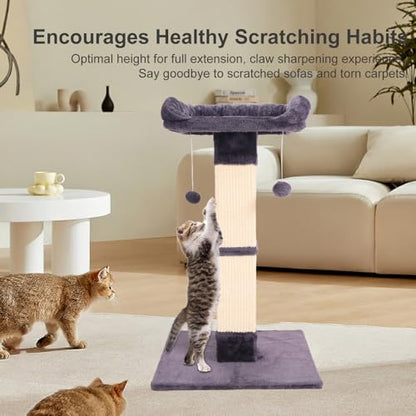 34" Cat Scratching Post for Indoor Cats, Sisal Cat Scratcher with Large Plush Perch, Vertical Posts with Elevated Bed and with Two Dangling Balls, Removable & Washable Cover, Dark Grey - color: Dark grey