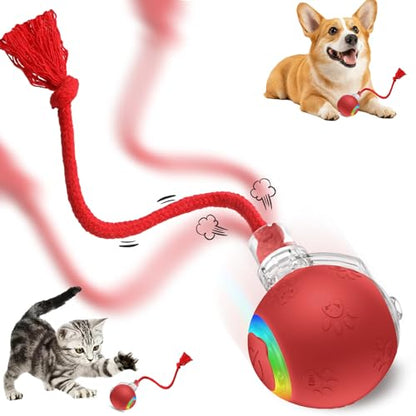 FUNNYDUCK Speed 2.0 Tail Interactive Cat Toys for Indoor Cats – Smart Motion-Activated Rolling Ball with Tail, Chirping Sounds, and USB Rechargeable Design for Enrichment & Exercise - color: Red