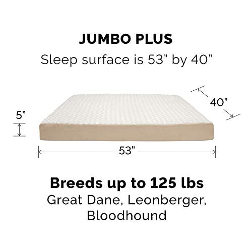 Furhaven Replacement Dog Bed Cover Ultra Plush Faux Fur & Suede Mattress, Machine Washable - Cream, Jumbo Plus (XX-Large) - color: Cream, size: Jumbo Plus (XX-Large) (Pack of 1)