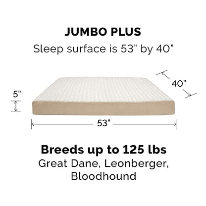 Furhaven Replacement Dog Bed Cover Ultra Plush Faux Fur & Suede Mattress, Machine Washable - Cream, Jumbo Plus (XX-Large) - color: Cream, size: Jumbo Plus (XX-Large) (Pack of 1)