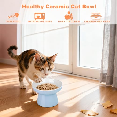 Raised Cat Food Bowl – Ceramic Elevated Cat Bowl for Whisker & Neck Fatigue,Non-Slip & Anti Vomiting Pet Feeder for Kittens to Adult Cats and Small Dogs,Dishwasher Safe(Blue) - color: Blue