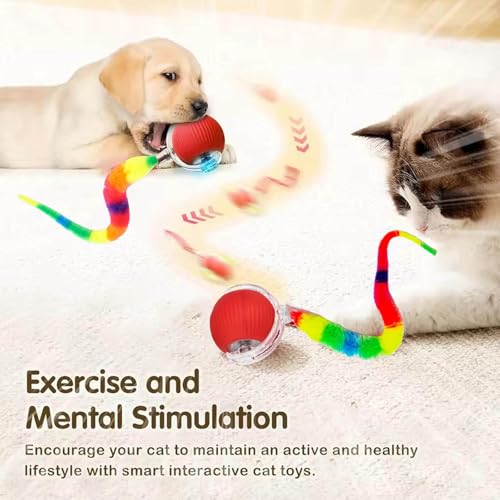 2 PCS Interactive Cat Toy Rolling Ball Chewie Viral Dog Ball with Tail, Smart Automatic Rolling Pet Balls,Automatic Moving Electric Cat Toy - color: Color3