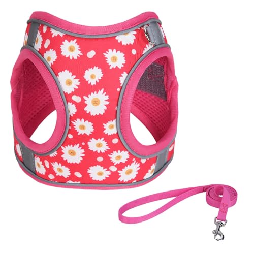 Step in Dog Harness No Pull Flower Adjustable Soft Mesh Padded Reflective Pet Vest Harness and Leash Set for Small Medium Dogs - color: Rose red, size: XXS(neck:8.5"-9.5",chest:10"-11.5")