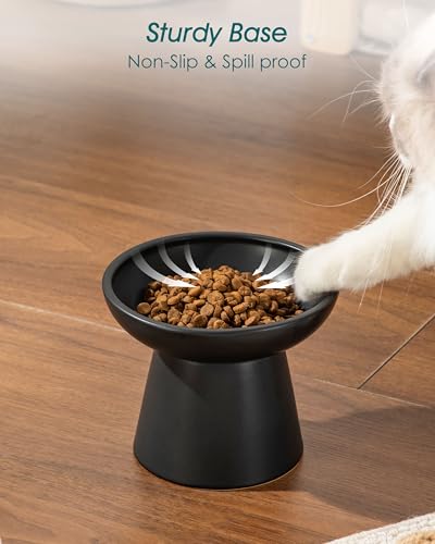 vancasso Elevated Cat Food Bowls 2-Pack, 6.2" Wide Shallow Cat Feeding Bowl for Whisker Fatigue, 5.1" Height Ceramic Raised Food Bowls for Senior Cats, Anti Vomit, Black - color: Black-Food 2-pack