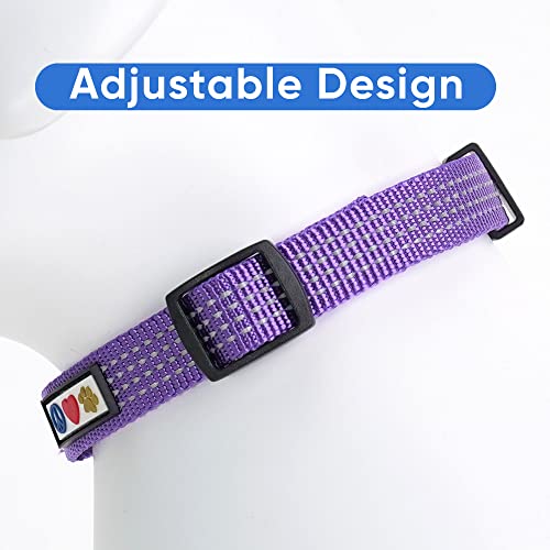 Pawtitas Reflective Dog Collar for X-Small Dogs – Adjustable Nylon Puppy Collar with Quick-Release Buckle | Fits Neck 8–13 in | Night Safety Training Collar | XS | Purple - color: Purple, size: X-Small (Pack of 1)
