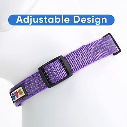 Pawtitas Reflective Dog Collar for X-Small Dogs – Adjustable Nylon Puppy Collar with Quick-Release Buckle | Fits Neck 8–13 in | Night Safety Training Collar | XS | Purple - color: Purple, size: X-Small (Pack of 1)