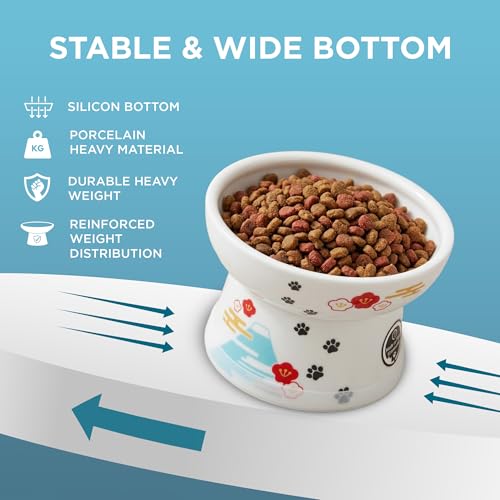 Necoichi Raised Cat Food Bowl – Ceramic Elevated Cat Bowl for Whisker & Neck Fatigue, Dishwasher Microwave Safe – Non-Slip & Anti Vomiting Ergonomic Design (Fuji, Regular, 1-Cup Capacity) - color: Fuji, size: Small Flat (1 Cup)