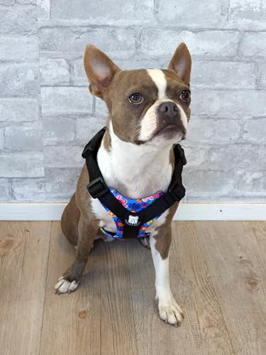 No-Pull Harness for English & French Bulldogs - Adjustable Wide-Chest Fit, Reflective Vest with Control Handle (Frisky Flowers, Large) - color: Frisky Flowers, size: Large