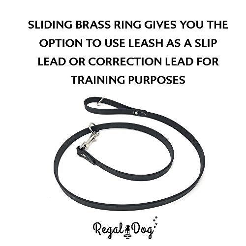 Regal Dog Products Waterproof Leash – 5 ft. Black Dog Leash with Easy to Use Collar Hook, Lightweight, and Proof Training Pet Lead with Vinyl-Coated Webbing for Small, Medium, Large, or XL Dogs - color: Black