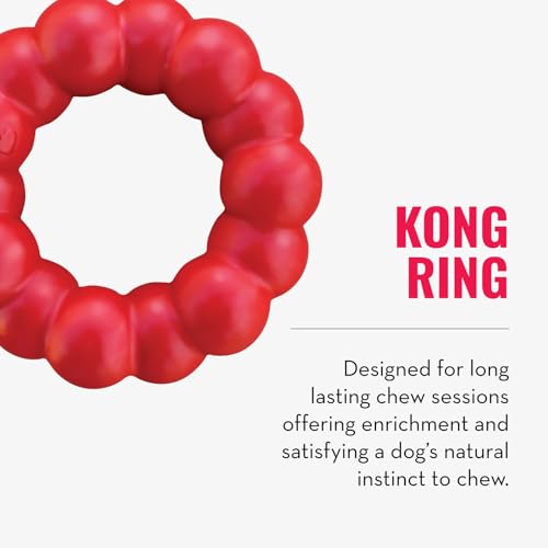 KONG Ring & Goodie Ribbon - Durable Rubber Treat-Dispensing Chew Toy for Dental Health - for Small Dogs - size: Small