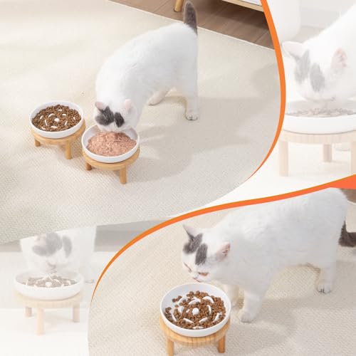 Raised Slow Feeder Cat Bowl, 5.9 Inch Wide Shallow Ceramic Elevated Glass Food Bowl Puzzle Feeders, Anti Vomit Cat Dish, Whisker Friendly Pet Plates Feeding Station for Indoor Cats, Kitten(1 Set) - size: 1 Slow Feeder & 0 Cat Plate