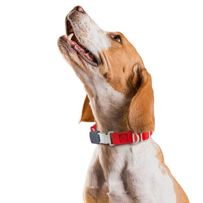 Biothane Waterproof Durable Dog Collar with Herm Sprenger - Quick Release ClicLock Buckle - Fits Medium and Large Dogs - Made in USA (Cherry Red, W 3/4" x L 12"-19") - color: Cherry Red, size: W 3/4" x L 12"-19"