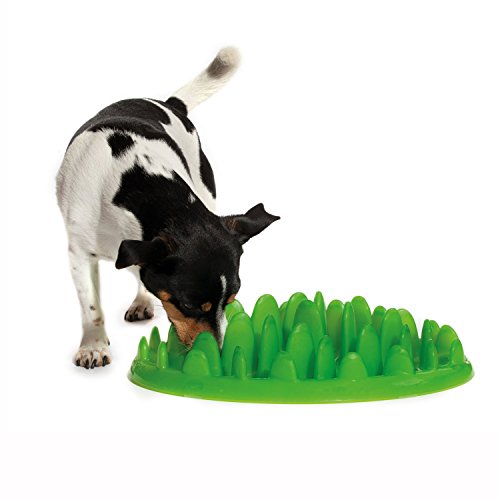 Company of Animals GREEN Slow Interactive Feeder for Dogs, Size Large, Best Fun Slow Feeder Dog Bowl, Anti-Gulp, Gobble Stopper, Mental Stimulation Dog Puzzle, Suitable for Small, Medium & Large Dogs - size: Large
