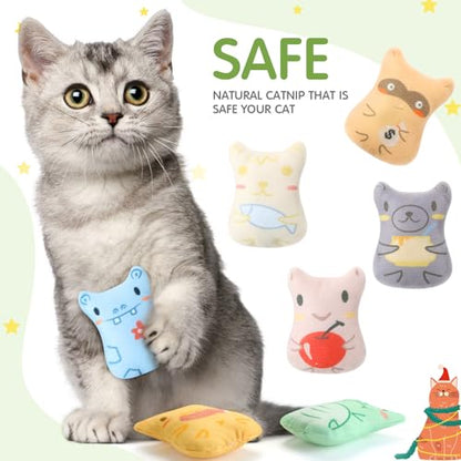 Gejoy 20 Pack Catnip Toys for Indoor Cat Plush Kitten Cat Chew Toys Catnip Kitten Entertaining Interactive Safe Teeth Cleaning Dolls(Charming) - style: Charming
