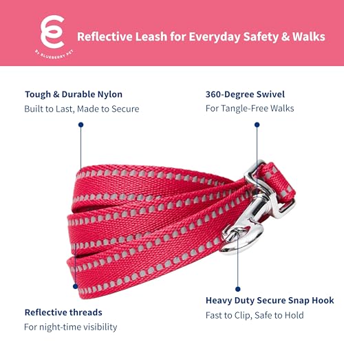 Blueberry Pet Essentials Matching Dog Collar & Leash Set | Pastel Reflective Adjustable Collar with 5 ft Lead for Medium Dogs, Very Berry - color: Very Berry, size: Medium