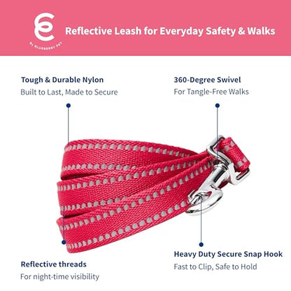 Blueberry Pet Essentials Matching Dog Collar & Leash Set | Pastel Reflective Adjustable Collar with 5 ft Lead for Medium Dogs, Very Berry - color: Very Berry, size: Medium