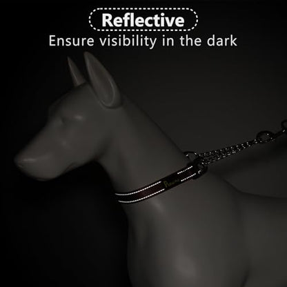 Plutus Pet Martingale Dog Collar with Stainless Steel Chain and Reflective Nylon, Adjustable No Pull Training Collar, for Small Medium, and Large Dogs, Chocolate, M - color: Chocolate, size: Medium