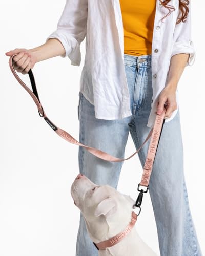 Classic Dog Leash - 4FT, Dual Padded Handles, 360° Swivel Hook, Heavy Duty 210D Nylon - No-Pull Design with Traffic Control Handle - for Small/Medium/Large Dogs, Pink - color: Pink, size: 4FT