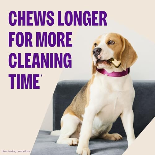 Wellness WHIMZEES Puppy Natural Dog Dental Treat, Chews, Freshens Breath, Extra-Small/Small Size, 7.9 oz Bag, 30 Count - size: 30 Count (Pack of 1)