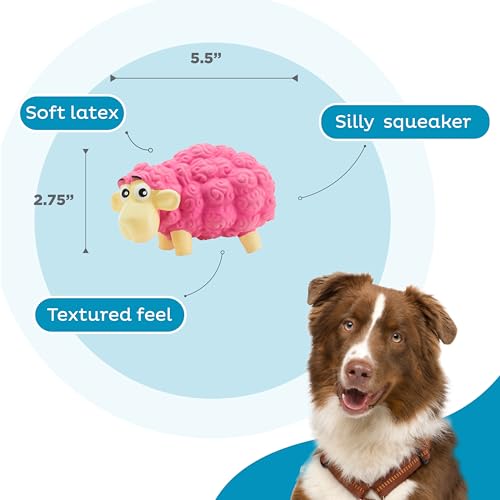 Outward Hound Tootiez Sheep Grunting Latex Rubber Dog Toy, Small - color: Pink, style: Grunt Sound