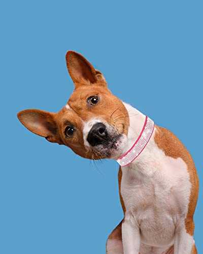 Dog Collar for Small Dogs, Adjustable Leather Suede Bling Dog Collars，Rose Red Dog Collar Cat Collar, Rhinestone Dog Collar (XS, Rose red) - color: rose red, size: XS