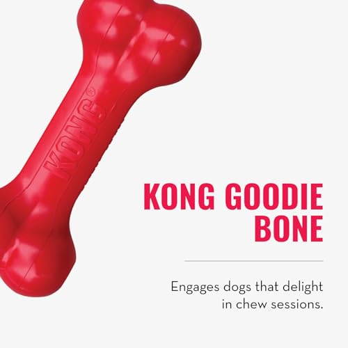 KONG Goodie Bone & Flyer - Dog Toys to Enrich Playtime - Dog Bone & Soft Throwing Disc Support Mental Engagement - Rubber Bone for Treats - Rubber Flying Disc with Dynamic Rebound - for Small Dogs - size: Small