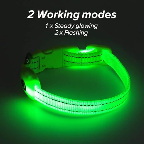 BSEEN Light Up Dog Collars - Glowing LED Dog Collar Rechargeable Puppy Collar for Small Dogs & Cats, Safety Dog Lights for Night Walking (Green) - color: Green