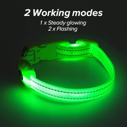 BSEEN Light Up Dog Collars - Glowing LED Dog Collar Rechargeable Puppy Collar for Small Dogs & Cats, Safety Dog Lights for Night Walking (Green) - color: Green