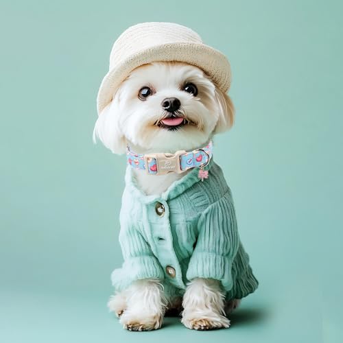 Valentines Dog Collar for Small Dogs - Valentine Candy Hearts Dog Collars, Love Boy Girl Dogs Collars, Lightweight Adjustable Cute Blue Puppy Collar with Quick-Release Buckle XS - color: Candy Heart, size: XS