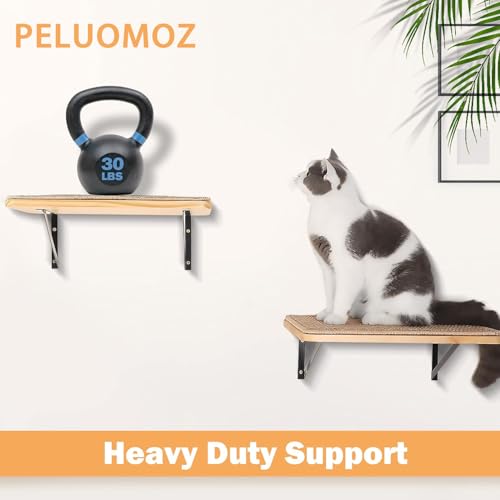 2PCS Cat Wall Shelves with Scratching Mat, 16.6x9.7 Inch Solid Pine Wood Wall Mounted Kitten Floating Shelf, Window Perch Hammock, Cats Wall Furniture for Cats Sleeping, Playing, Climbing - color: Wood Shelf, size: Double Shelf (2 Pieces)