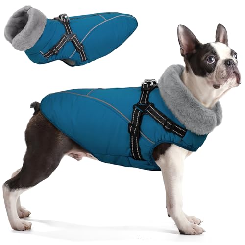 Queenmore Dog Jackets for Large Dogs,Dog Coat with Harness Built in,Dog Coats for Large Dogs,Waterproof Doggy Coat with Zipper On Back,Warm Fleece Lining Cold Pet Coats with Furry Collar,Blue,XL - color: Blue, size: X-Large