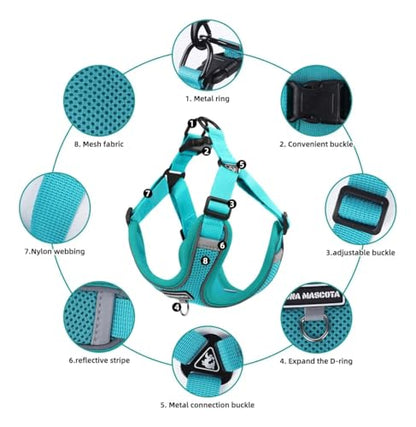 Dog Harness and Leash Set, Adjustable Triangle, Reflective Adjustable Puppy Vest, No Pull Soft Mesh Harness for Small, Medium Dogs, Cats (Turquoise, XL) - color: Turquoise, size: XL