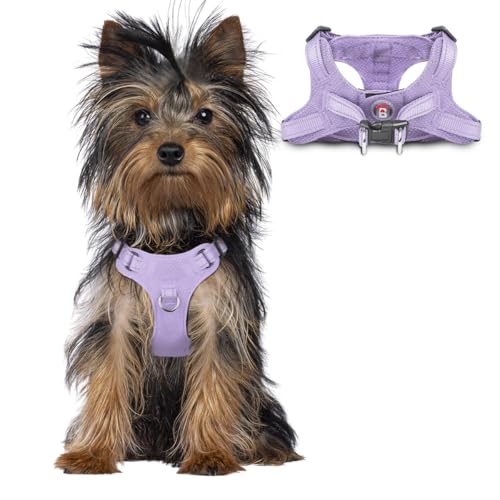 BARKBAY Dog Harness, Reflective Adjustable Puppy No Pull Harness, Breathable Soft for Small and Medium Dogs, Violet Purple, XXS - color: Violet Purple, size: XX-Small