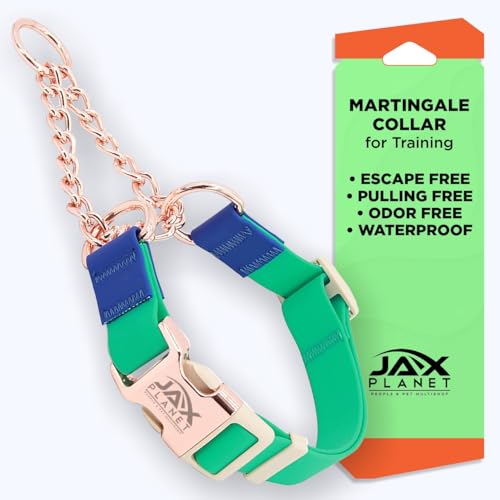 Jelly Waterproof Martingale Dog Collar, No Pull Nylon Collar with Alloy Metal Buckle & D-Ring for Outdoor Training and Walking, Anti Pull, Escape Free, One Time Adjustment - Turquoise & Blue, L - color: Collar:Turquoise-Blue, size: Collar:(L)Neck:18.0"~22