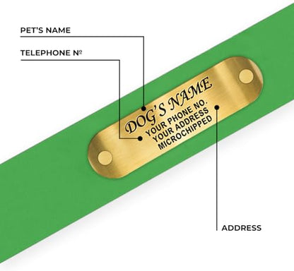 Regal Dog Products Small Light Green Waterproof Dog Collars with Custom Engraved Name Plate | Vinyl Coated, Easy to Clean Personalized Biothane Dog Collar - Other Sizes for Medium & Large Dogs - color: Light Green, size: Small Collar